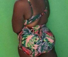 Tampa escorts - Clearwater Female Escort (36) — Call or Text