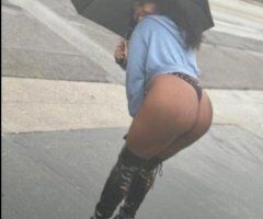 Concord escorts - Fijian goddess escort — sweet exotic caramel vibe (Concord, CA)