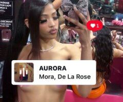 Sacramento Female Escort — Outcalls + FaceTime Shows (Dominatrix Services) - Image 2