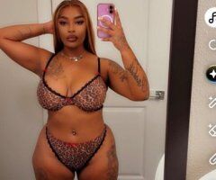 Sarasota/Bradenton Incall Special — Mixed Breed Pornstar Play - Image 4