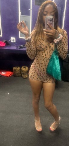 Tampa GA Girl — Incalls, Outcalls, Facetime & OnlyFans Content - 1