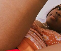 Las Vegas escorts - Las Vegas Incall/QV Specials — Nora for BJs (22)