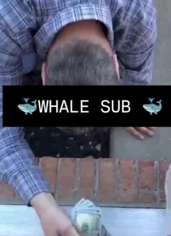 Nashville Female Escort — Virtual whale sub sessions & kink list - 1