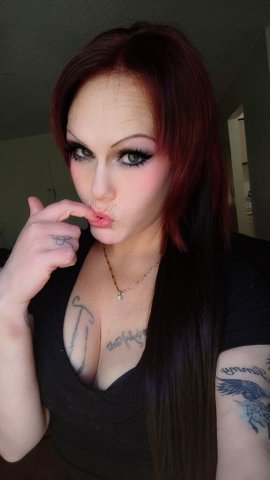 Shani in Sarasota — In-Call Escorts, Greek (Extra), GFE/BBJ (Extra) - 1