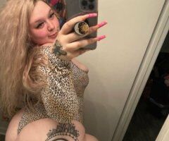 Chesapeake VA Busty C-Cup Escort — GFE, Anal, BBJ, CIM/CIP - Image 3