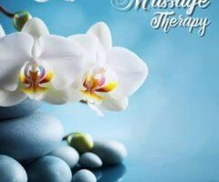 San Mateo escorts - Body2Body Nuru Shower Massage — San Mateo, CA