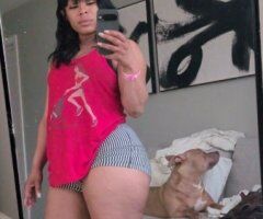 Amber — Columbus Female Escort - Image 5