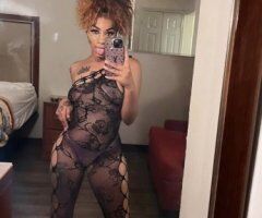 Memphis Latina Female Escort — FaceTime photos, iPhone users - Image 4
