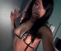 Ivy (Jacksonville) — Incalls, Outcalls, CarPlay - Image 2