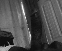 dont play on my phone - Image 3