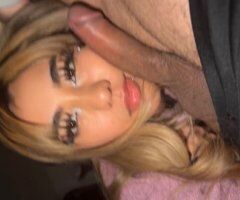 Keys, Florida Perite Hookup — Incall, Outcall, Carfun & Face Time Shows - Image 3