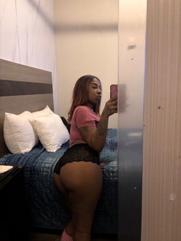 Manhattan Female Escort — Incall at Tremont Hotel, Dates & Out Calls - 1