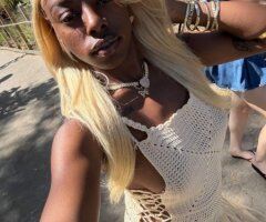 Ms. Hollywood Ebony Escort (22) — incall, outcall & car fun - Image 3
