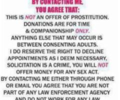 Safety-focused erotic relcation — overnights, dinner dates, multiple hours - Image 6