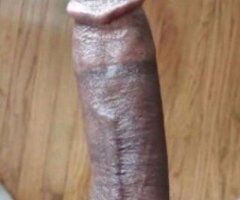 Little Rock escorts - come get some good dick 🍆💦