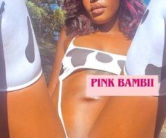 New in Town — Indianapolis Incalls Only (21) - Image 7
