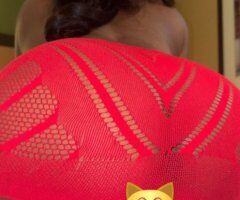 Monterey 4'11 Funsize Female Escort — Incalls & Cardates - Image 3