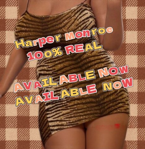 Biloxi Blonde Escorts — Private Appointment Only - 1