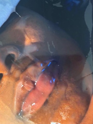 Charlotte NC Escort for Discreet Conversation & Relaxing Evenings - 1