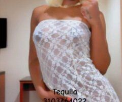 Los Angeles escorts - Gardena Blonde Bombshell Incall — New Pics