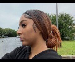 Back in Greenville — Honey for Facetime Shows (21) - Image 3