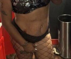 Toledo escorts - Cowgirl-style escort in Toledo, Ohio — outcall only