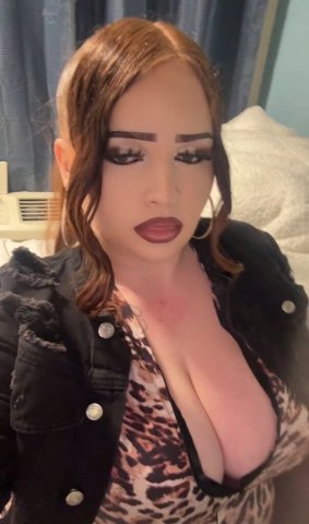 Aaliyah Italian  Content & FT Shows — North Bay, California - 1