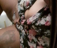 Chocolate Stallion + Asian Persuasion Play (40) — Daytona - Image 5