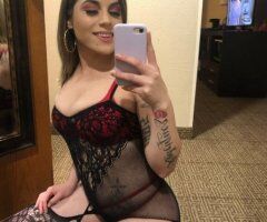 North Bay CA Escort — Spanish & white mix, 25 years old - Image 2