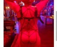 Sarasota/Bradenton escorts - Kidnap / CNC / pain pig for use