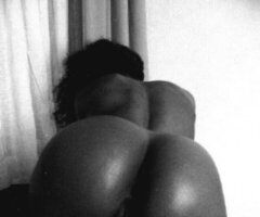 Miami escorts - New in Town — Miami Female Escort (No Bare, No Police, No Anal, No Bbj)