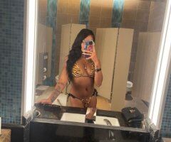 Fort Myers escorts - Fort Myers Mulatto Mami Escort (22) — Privacy-First