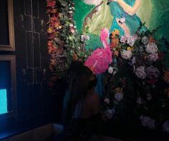 Northern Virginia escorts - Northern Virginia VIP Female Escort — Incalls Only, FaceTime Shows
