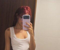 San Jose escorts - San Jose CA Female Escort — affectionate kitty play
