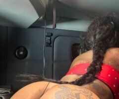 West Palm Beach Female Outcall Escort — Outcalls Only - Image 2