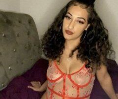 Sarasota/Bradenton Female Escort — Incall, Outcall & Car Dates - Image 2