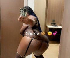 Incall / Outcall — Raleigh-Durham Certified Provider - Image 8