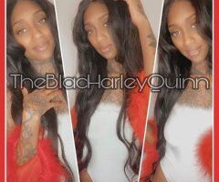 Harley — Female Escort in Lafayette, LA (no bare) - Image 2