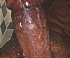 pull up suck on this dick - Image 3