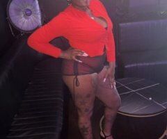 Maddi  Exotic Entertainer — Quick Show Deals & Shower Show - Image 4