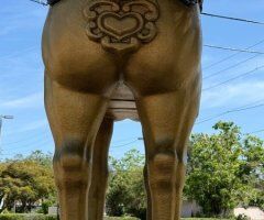 Treasure Coast escorts - Safe place, tight clean grip soecials today in/out