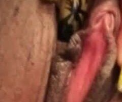 Low-key freaky BBW outcalls — cream cum & backshots - Image 2