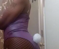 Dallas, Texas Independent Solo Female Escort - Image 3