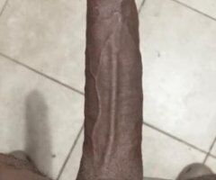 Little Rock escorts - im town for the weekend