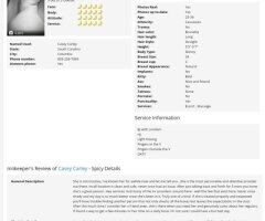 Columbia, SC Female Escort — Mature upscale adult time at private residence - Image 3