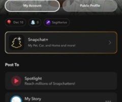 Chanel — Findom Goddess with FaceTime Shows/Content - Image 9
