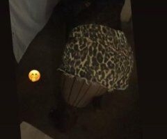 Waco Texas Female Escort — Special Service, BBJ, Raw Sessions - Image 2