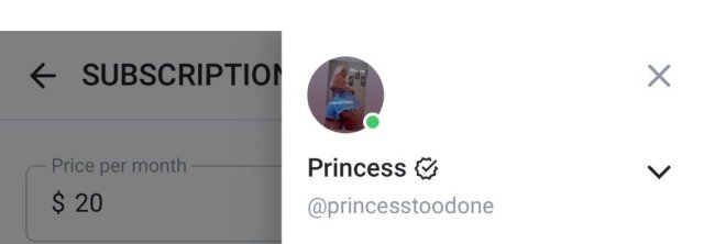 Fort Collins Outcalls Only — Princess  Party Favors - 1