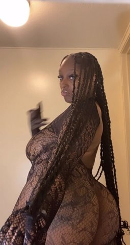 Bridgeport CT Female Escort — Content Sales & Facetime Shows - 1