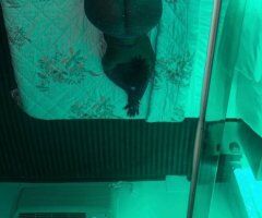 Queens, NY Female Escort — Outcalls + Facetime - Image 3